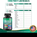 Seamoss Black seed oil Ginger+ Shilajit Ashwagandha root extract (pack of 2) Manuka Honey and Mo16 in 1 Dietary Supplements, 60+ 60  Vegetarian Capsules 4000 mg + 9000 mg Bundle - 2 months supply Edible Fitness Healthcare Natural Vitamin