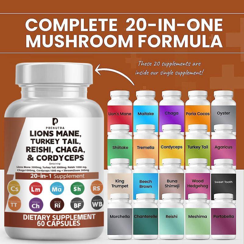 Lions Mane, Turkey Tail, Reishi, Chaga & Cordyceps