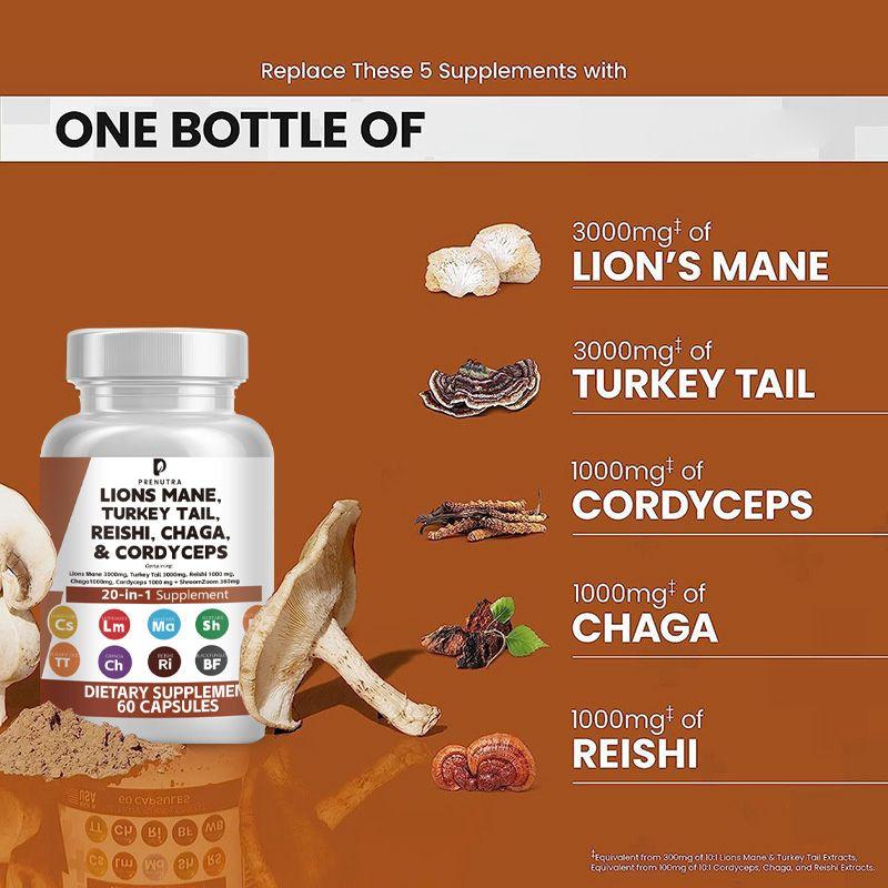 Lions Mane, Turkey Tail, Reishi, Chaga & Cordyceps