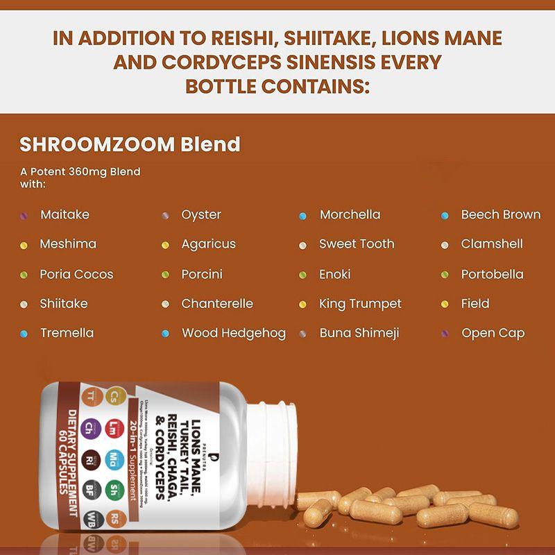 Lions Mane, Turkey Tail, Reishi, Chaga & Cordyceps