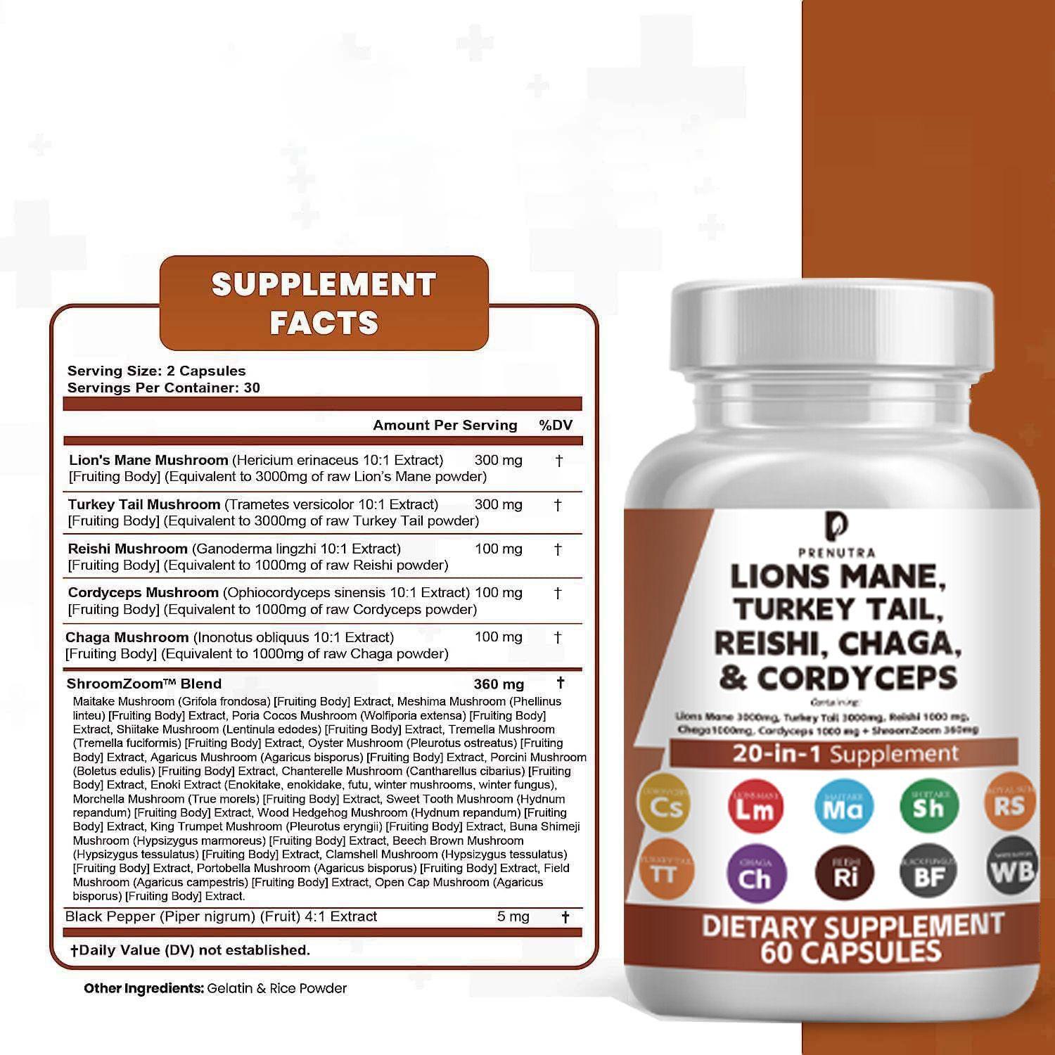 Lions Mane, Turkey Tail, Reishi, Chaga & Cordyceps