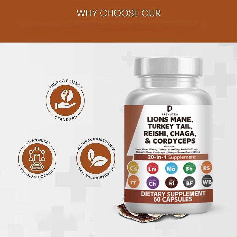 Lions Mane, Turkey Tail, Reishi, Chaga & Cordyceps